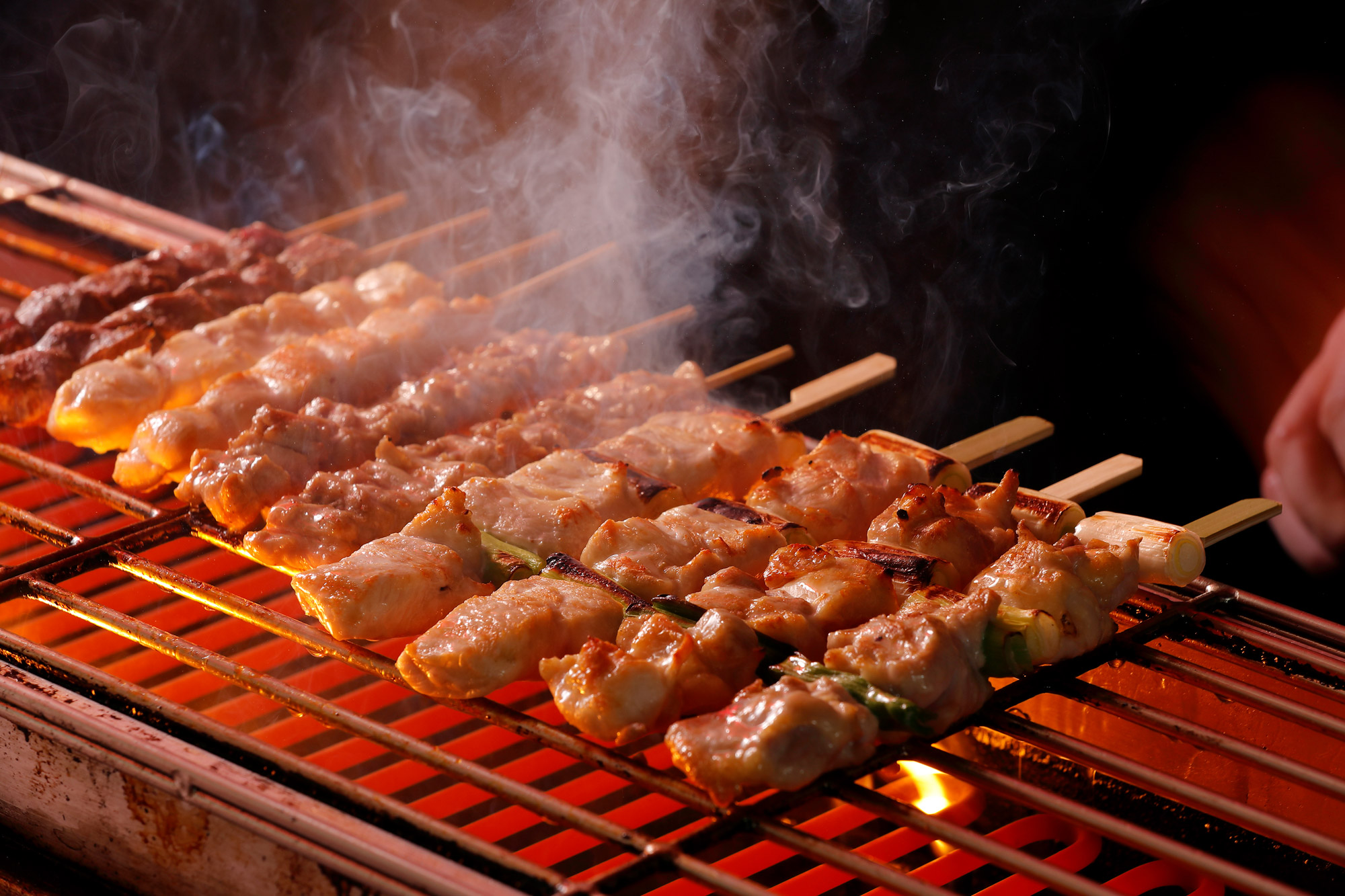 YAKITORI TORIKIZOKU